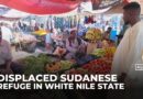 In Sudan’s White Nile State, displaced families survive through farming, fishing and livestock