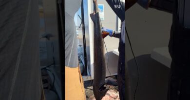 Inside Wisconsin’s Wild Spearing Tradition for Prehistoric Fish