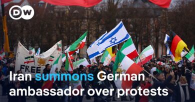 Iranian regime accuses Germany of ‘anti-Iranian activities’ and ‘destructive  positions’ | DW News