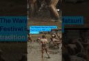 Japanese men wrestle in mud at annual festival for a good harvest | DW News