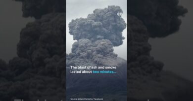 Kanlaon volcano erupts in the Philippines | DW News