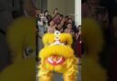 Lion-dancing robots steal the show at Singapore Chinese New Year celebration