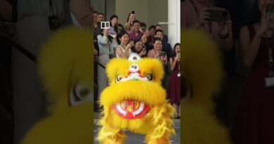 Lion-dancing robots steal the show at Singapore Chinese New Year celebration