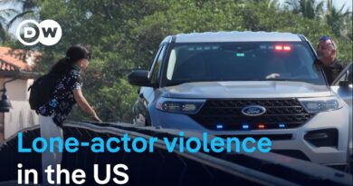 Mar-a-Lago shooting: How political polarization fuels lone‑actor violence | DW News