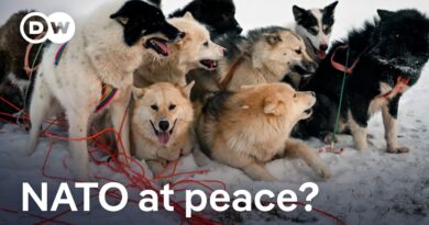 NATO’s Arctic Sentry exercise: A sign of the alliance’s return to serenity? | DW News
