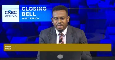 Nigeria FX reserves near 13-year highs