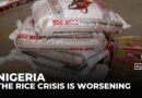Nigeria rice production: output hits four year low on high costs and imports