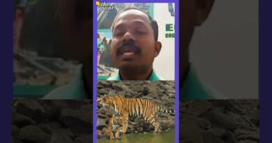 One Man’s Fight Against Mining in Maharashtra’s Tiger Corridor | The Quint