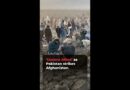 Pakistan ‘kills dozens’ in air strikes on Afghanistan | AJ#shorts
