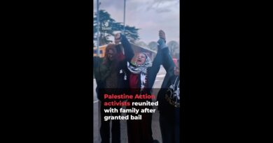 Palestine Action activists reunited with family after granted bail | AJ#shorts