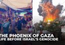 ‘Phoenix of Gaza’: Palestinian filmmaker captures Gaza’s life before Israel’s genocide