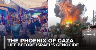 ‘Phoenix of Gaza’: Palestinian filmmaker captures Gaza’s life before Israel’s genocide