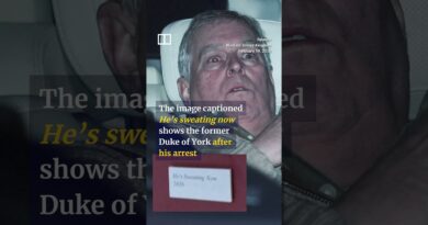 Photo of ex-prince Andrew appears at Louvre