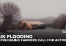 Relentless UK floods after record January rainfall leave farmers, rural communities abandoned