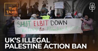 She took on Britain’s Palestine Action ban. Then she won. | The Take