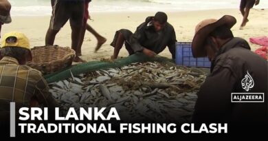Sri Lanka fishing concerns: Authorities investigate impact of mechanised methods
