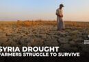 Syria faces worst drought in 40 years, threatening farmers’ livelihoods