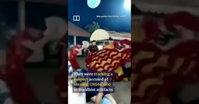 Thai police pose as lion dancers to nab a thief