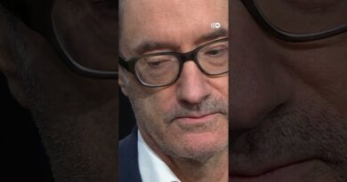 The consequences of Chinese state subsidies | To the Point