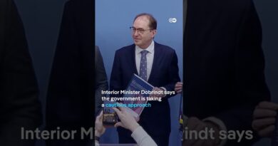 The German government’s position on the Epstein Files | DW News