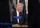 Trump hails ‘Golden Age’ in State of the Union address | DW News
