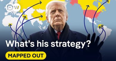 Trump vs. the world order | Mapped Out