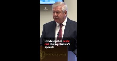 UN delegates walk out during Russian ambassador’s speech | AJ #shorts