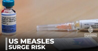 US childhood diseases : Parents divided over vaccines