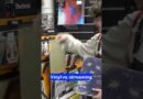 Vinyl vs. streaming