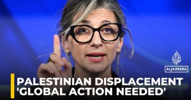 We need to change the system that has allowed the genocide in Gaza to fester : Francesca Albanese