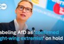 What does a German court injunction on AfD party designation mean for the intel agency tracking it?