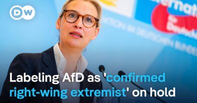 What does a German court injunction on AfD party designation mean for the intel agency tracking it?