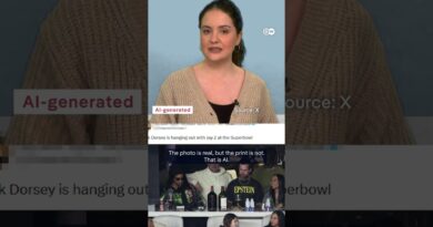 What to believe online: How AI is reshaping the Epstein case  | DW News