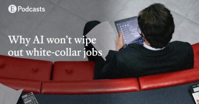Why AI won’t wipe out white-collar jobs | The Economist
