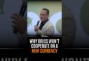 Why BRICS Won’t Cooperate on a New Currency