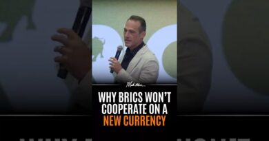 Why BRICS Won’t Cooperate on a New Currency