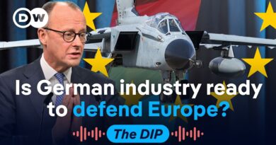 Why Germany is struggling to spend its defense budget | The Dip Podcast