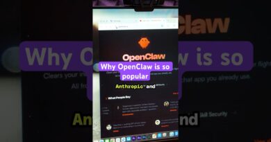 Why OpenClaw is so popular #Vergecast