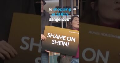 Why the EU Commission is investigating SHEIN | DW News