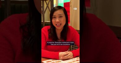 Will the Lunar New Year give a boost to the Chinese economy | DW News