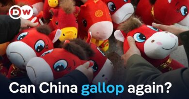 Year of the Horse: China’s race for growth | DW News