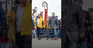 $345 Million verdict against Greenpeace | DW News