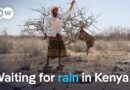 A crisis compounding: drought and dwindling aid in northern Kenya | DW News