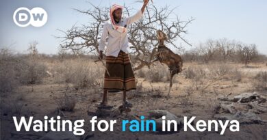 A crisis compounding: drought and dwindling aid in northern Kenya | DW News