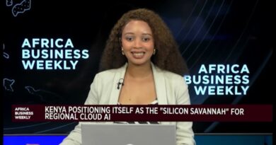 Africa Business Weekly: Saudi Arabia eyes investment opportunities in Africa