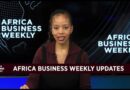 Africa Business Weekly: South Africa’s economic growth doubled in 2025