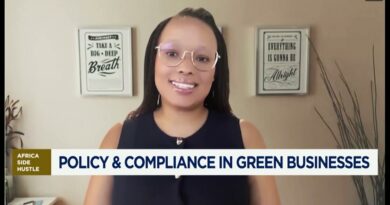 Africa Side Hustle: Africa’s Green Economy