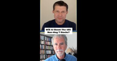 AI and the “493”