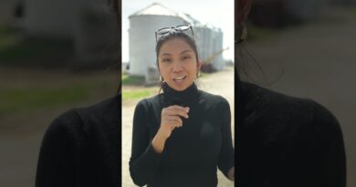 American farmers fret over energy crisis | DW News