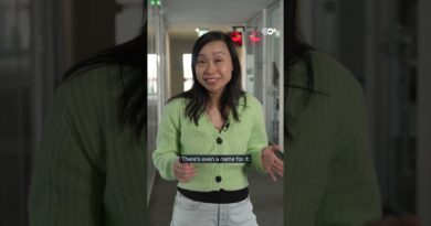 Another TACO moment: Trump’s Iran U‑turn shakes global markets | DW News